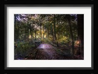 Beyond the Wooden Bridge Fine Art Print