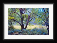 Forgotten Day Dreams Fine Art Print