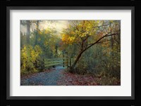 Good Morning Fine Art Print