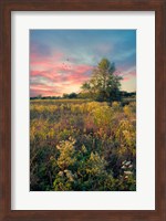 Grateful for the Day Fine Art Print
