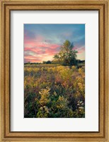 Grateful for the Day Fine Art Print