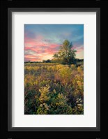 Grateful for the Day Fine Art Print