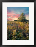 Grateful for the Day Fine Art Print
