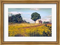 House on a Hill Fine Art Print