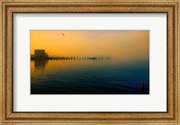 Morning Comes on the Bay Fine Art Print