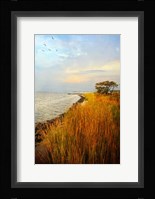 Morning Has Broken Fine Art Print