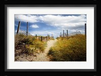 Summer's Departure Fine Art Print