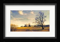 When I Come Back Fine Art Print