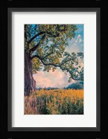 Where I Daydream Fine Art Print