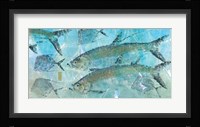 Tarpon Lagoon Fine Art Print
