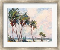 Six Palms Fine Art Print