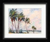Six Palms Fine Art Print