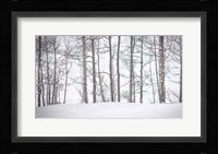 Behind Cloister Doors Fine Art Print