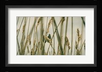 Even The Skies Have Limits Fine Art Print