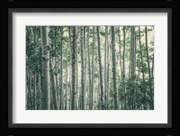 Obscured by Alders Fine Art Print