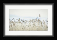 Weaving Through Earth and Sky Fine Art Print