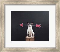 Prankster Fine Art Print