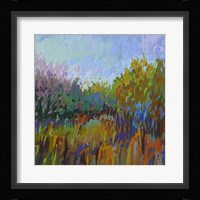 Color Field 62 Fine Art Print