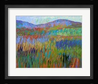 Color Field No. 68 Fine Art Print
