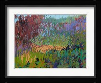 Color Field No. 72 Fine Art Print