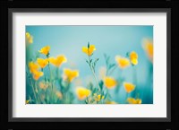 California Dream Fine Art Print