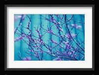 Sacre Bleu Fine Art Print