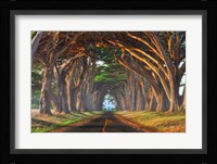 Tunnel of Light Fine Art Print