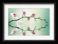 Zen Fine Art Print