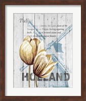 Holland Tulips Fine Art Print