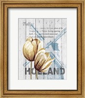 Holland Tulips Fine Art Print