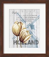 Holland Tulips Fine Art Print