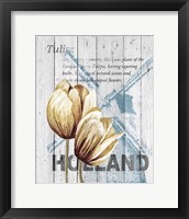 Holland Tulips Framed Print