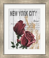 New York Roses Fine Art Print