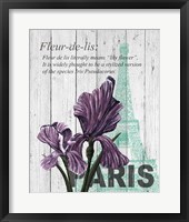 Paris Iris Fine Art Print