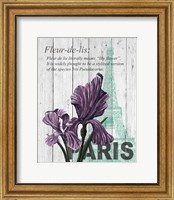 Paris Iris Fine Art Print