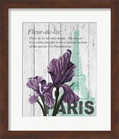 Paris Iris Fine Art Print