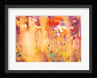 I Am Alice Fine Art Print