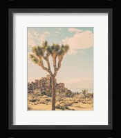 JT Fine Art Print
