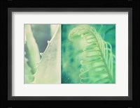 Mint Fine Art Print