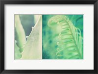 Mint Fine Art Print