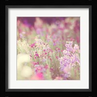 Monet Fine Art Print