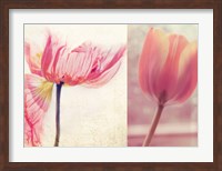 Poppy & Tulip Fine Art Print