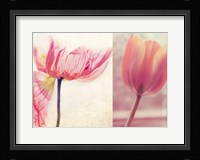 Poppy & Tulip Fine Art Print
