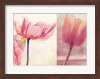 Poppy & Tulip Fine Art Print