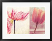 Poppy & Tulip Fine Art Print