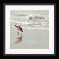 Soft Sea Fine Art Print