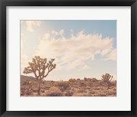 Sunshine & Joshua Trees Fine Art Print