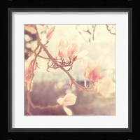 Sunshine Smile Fine Art Print