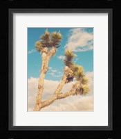 Untitled No. 2 Fine Art Print