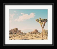 Winter in the Desert No. 3 Fine Art Print